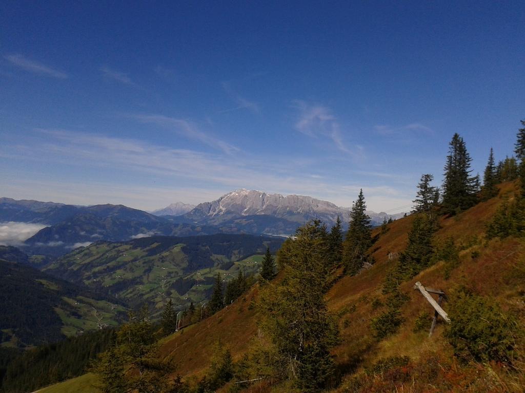 Fruehstueckspension Wagrain - Viktoria Flasch Rum bild